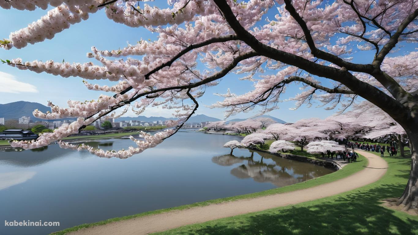 桜が咲く川沿いの道 / 花見 / 観光地 / 春 / 綺麗の壁紙(1366px x 768px) 高画質 パソコン用