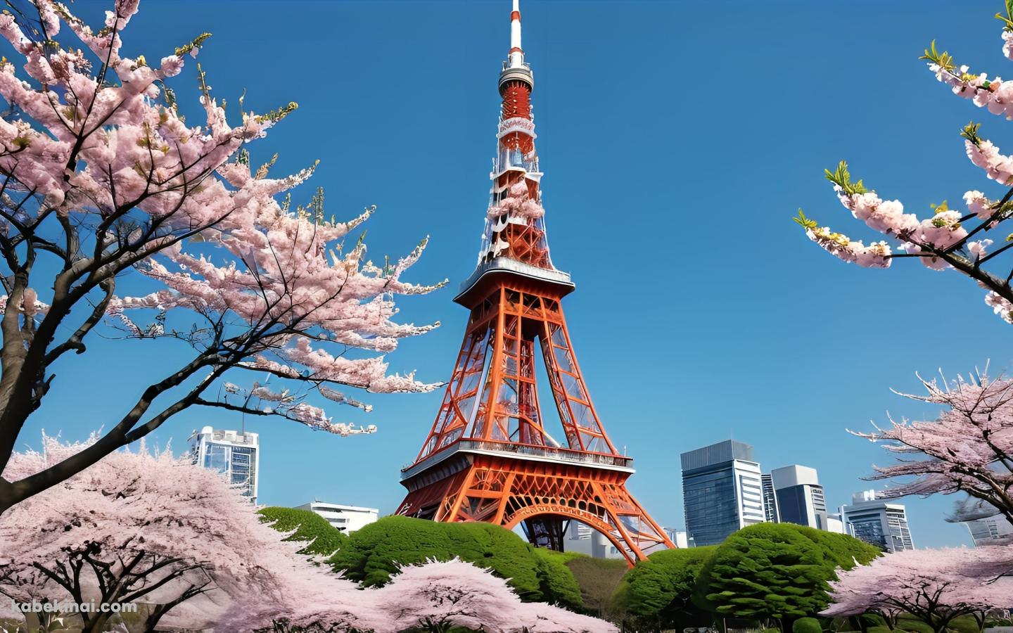 東京タワーと満開の桜 / 日本の壁紙(1440px x 900px) 高画質 パソコン用