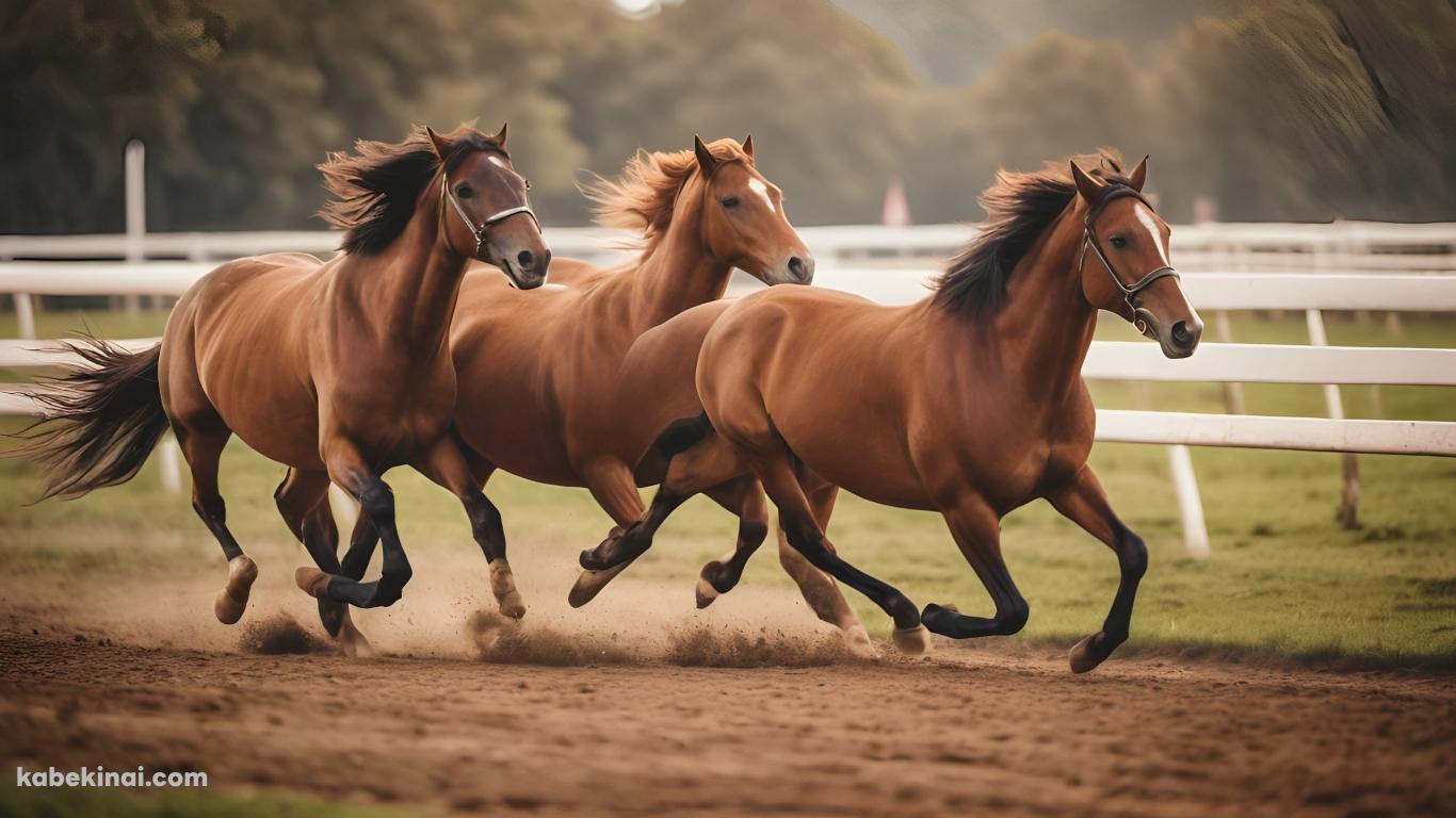 競馬場を走る3匹の馬 / 綺麗の壁紙(1366px x 768px) 高画質 パソコン用