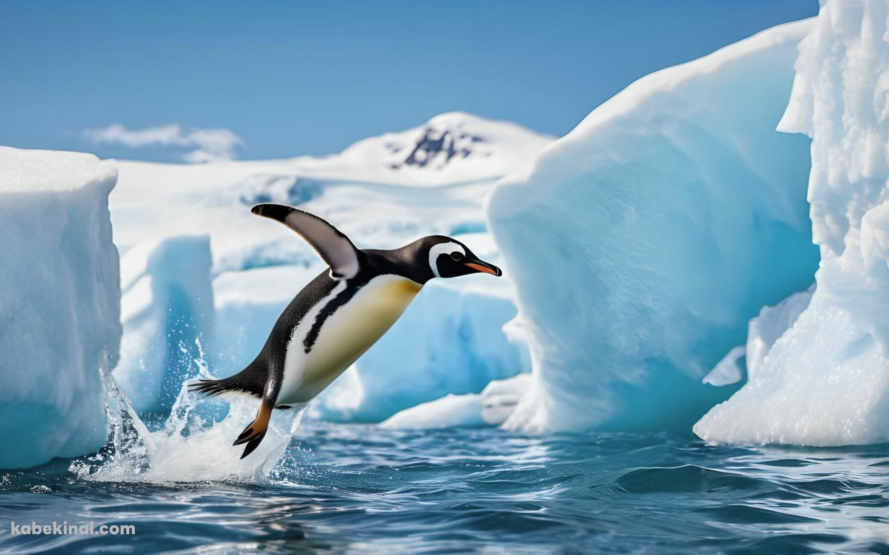 海に飛び込む1羽のペンギンの壁紙(1280px x 800px) 高画質 パソコン用