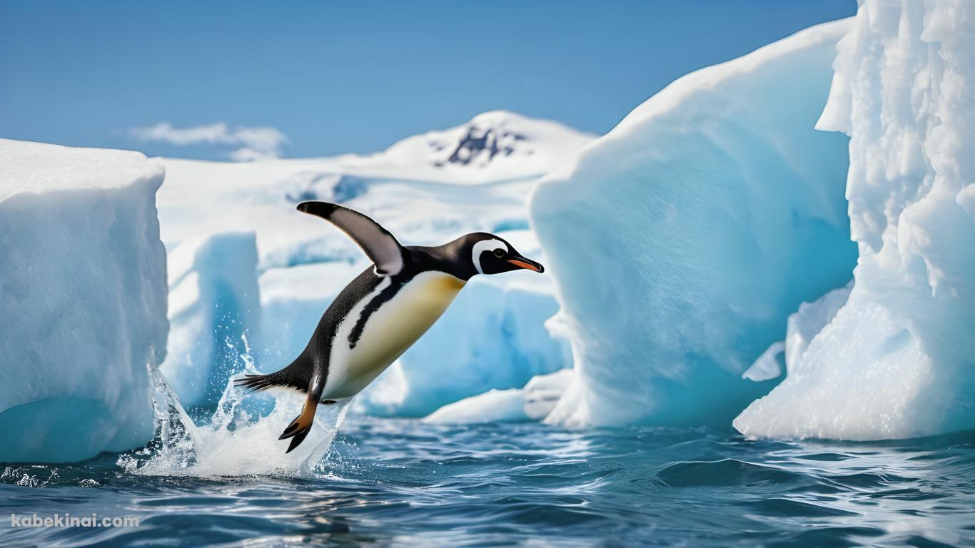 海に飛び込む1羽のペンギンの壁紙(1366px x 768px) 高画質 パソコン用