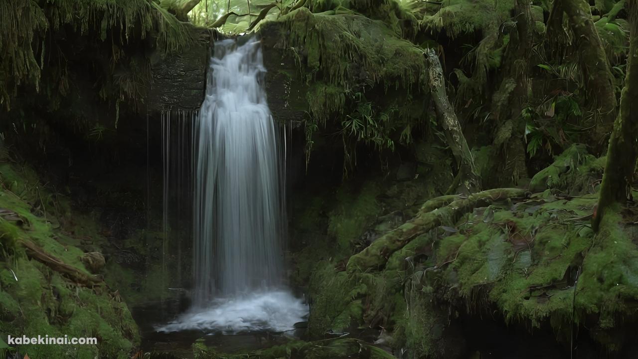 苔むした森と小さな滝の壁紙(1280px x 720px) 高画質 パソコン用