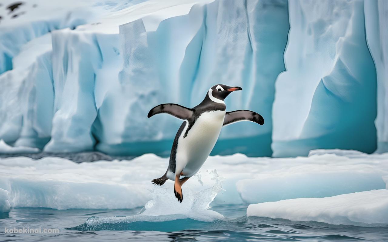 海からジャンプするペンギンの壁紙(1280px x 800px) 高画質 パソコン用