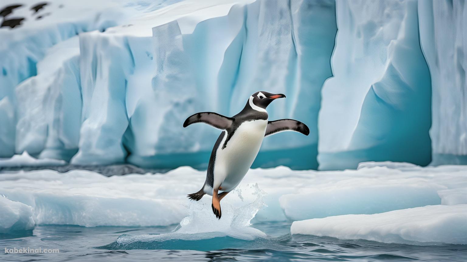 海からジャンプするペンギンの壁紙(1536px x 864px) 高画質 パソコン用