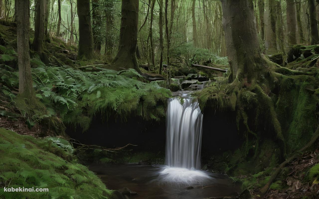 深い森の中の小さな滝 / 池の壁紙(1280px x 800px) 高画質 パソコン用