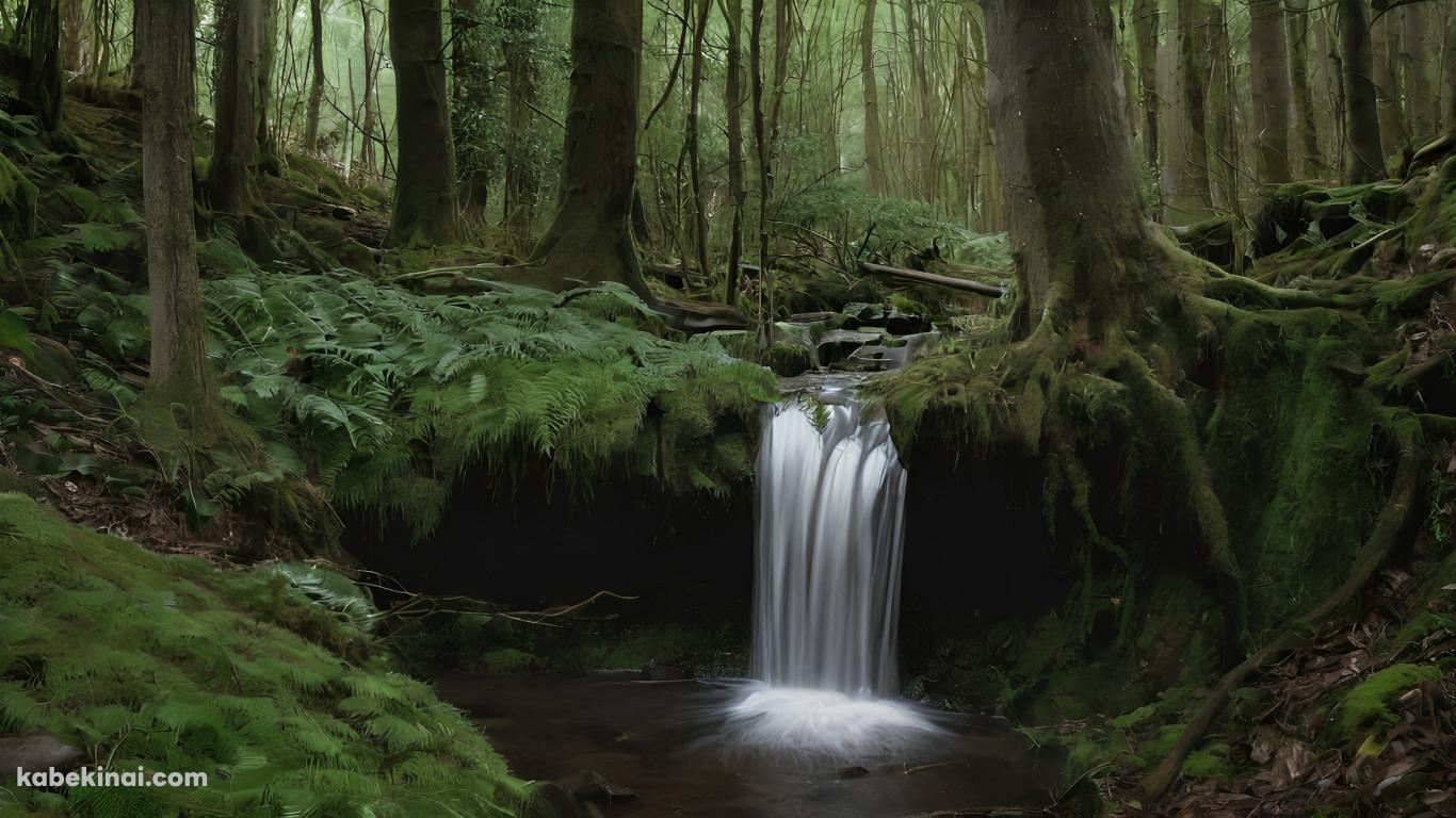 深い森の中の小さな滝 / 池の壁紙(1366px x 768px) 高画質 パソコン用