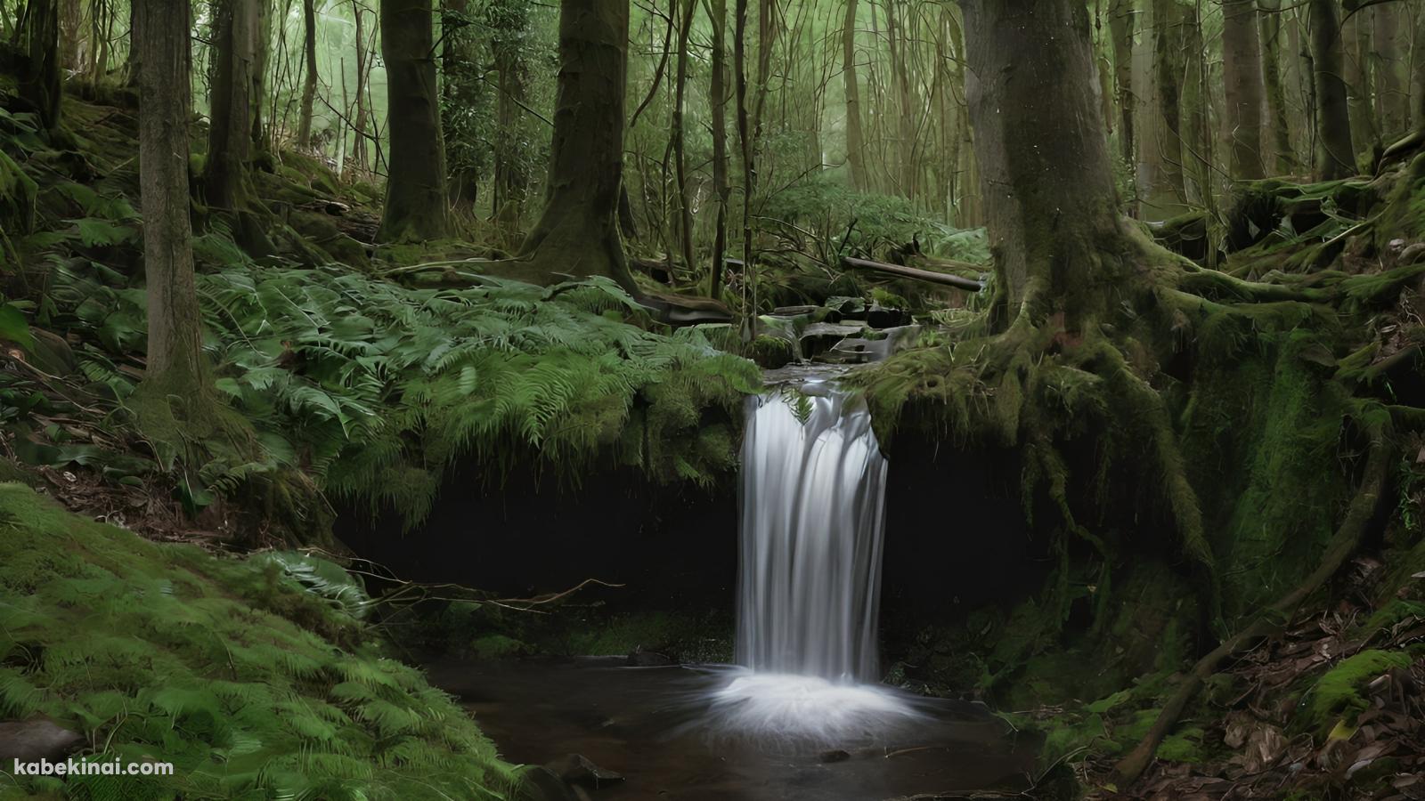 深い森の中の小さな滝 / 池の壁紙(1600px x 900px) 高画質 パソコン用