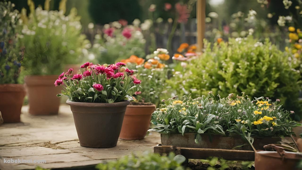 ピンク・黄色の花 / ガーデニング / 植木の壁紙(1280px x 720px) 高画質 パソコン用