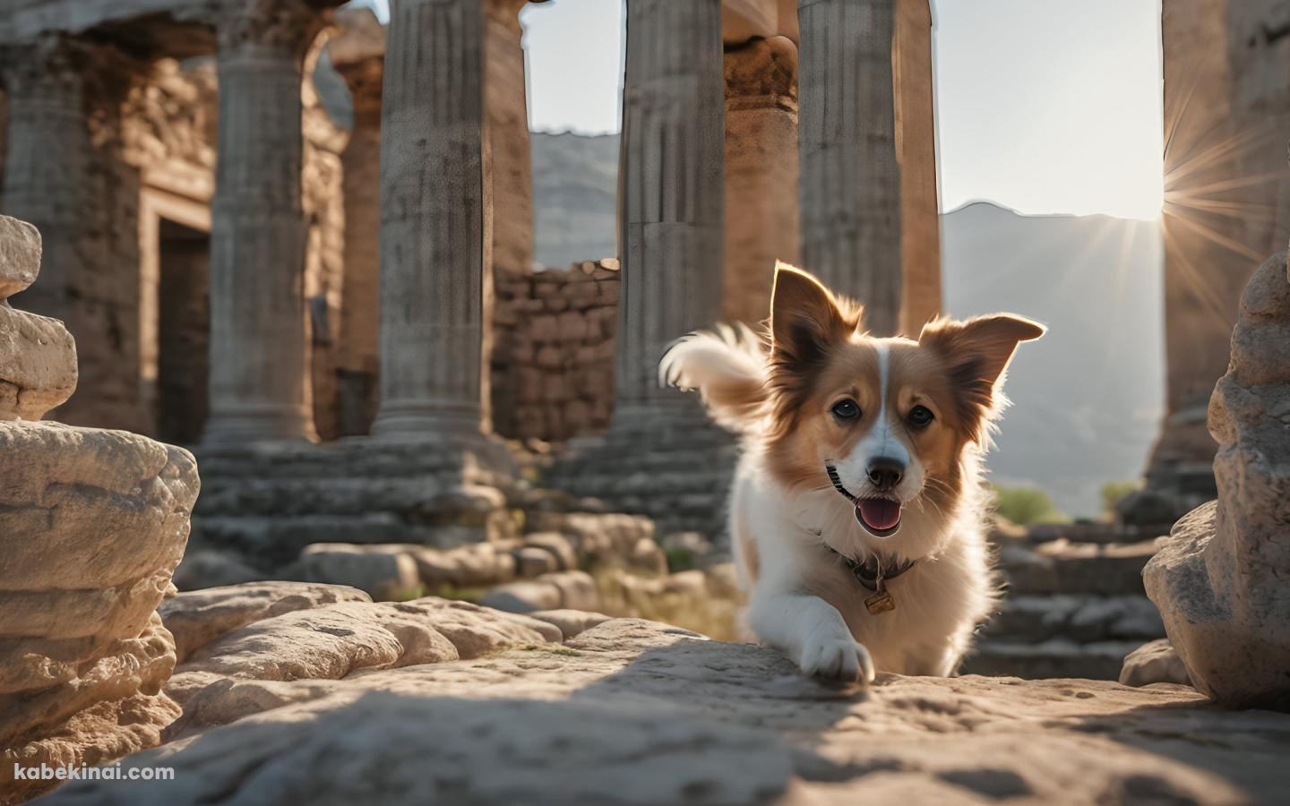 光り射す神殿の跡地と舌を出した可愛い犬の壁紙(1440px x 900px) 高画質 パソコン用