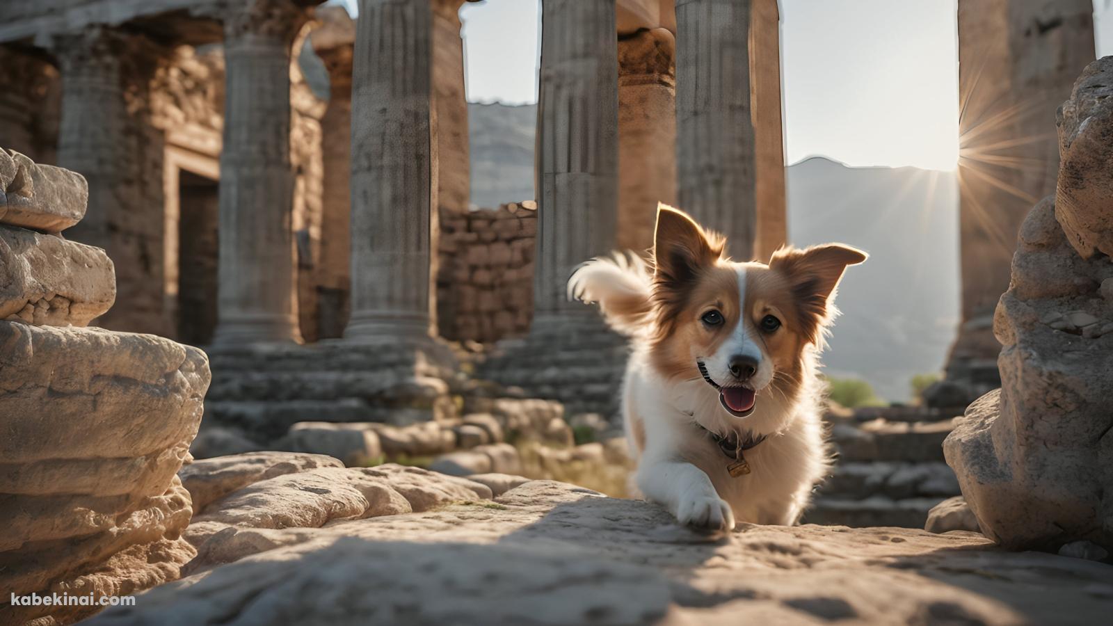 光り射す神殿の跡地と舌を出した可愛い犬の壁紙(1600px x 900px) 高画質 パソコン用