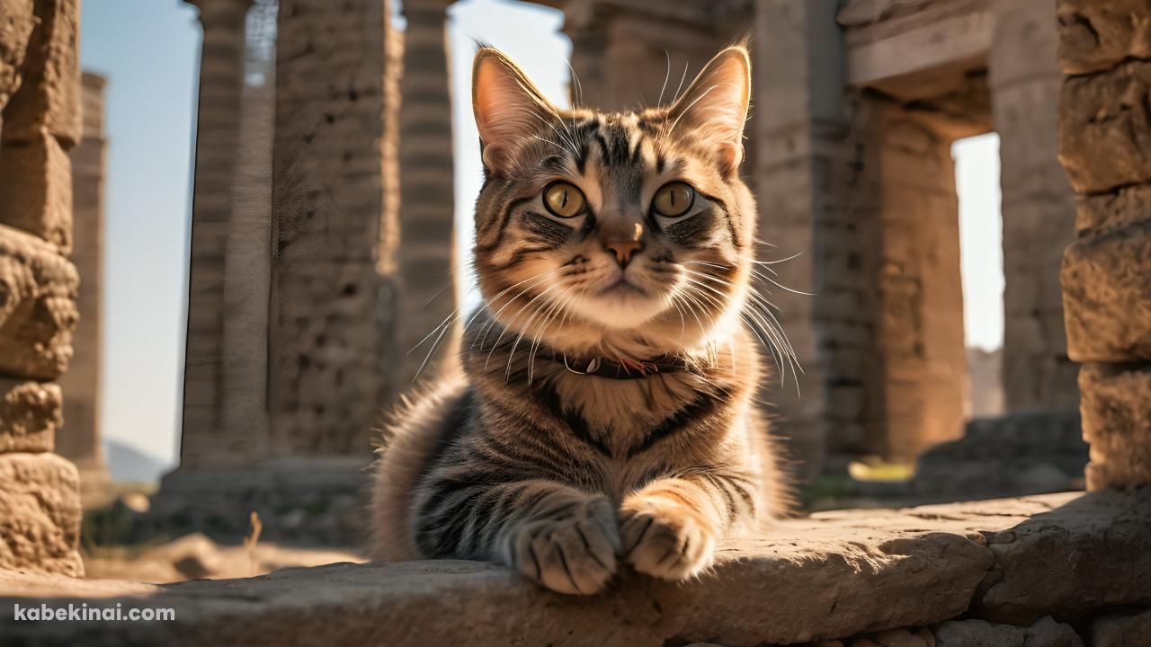 神殿跡地に出没する首輪を付けた猫の壁紙(1280px x 720px) 高画質 パソコン用