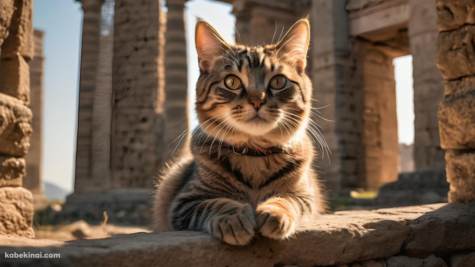 神殿跡地に出没する首輪を付けた猫の壁紙(1536px x 864px) 高画質 パソコン用