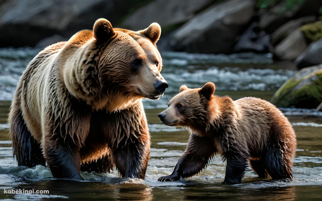 川で魚を獲る茶色いクマの親子の壁紙(1280px x 800px) 高画質 パソコン用