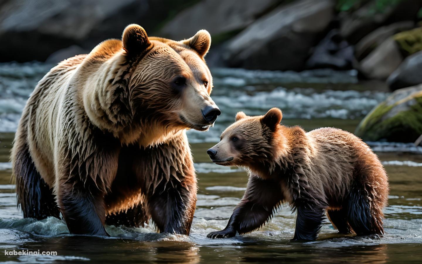 川で魚を獲る茶色いクマの親子の壁紙(1440px x 900px) 高画質 パソコン用