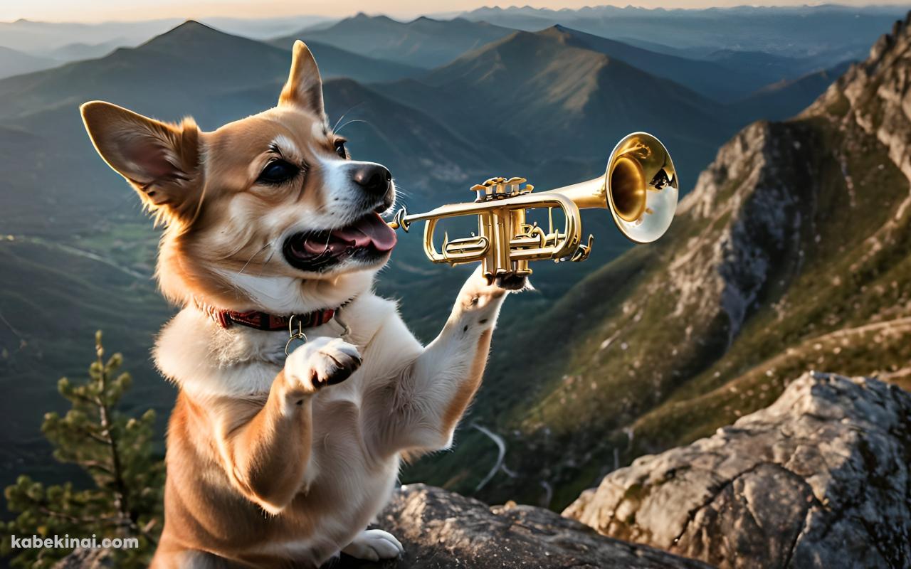 山頂で管楽器を吹く犬の壁紙(1280px x 800px) 高画質 パソコン用