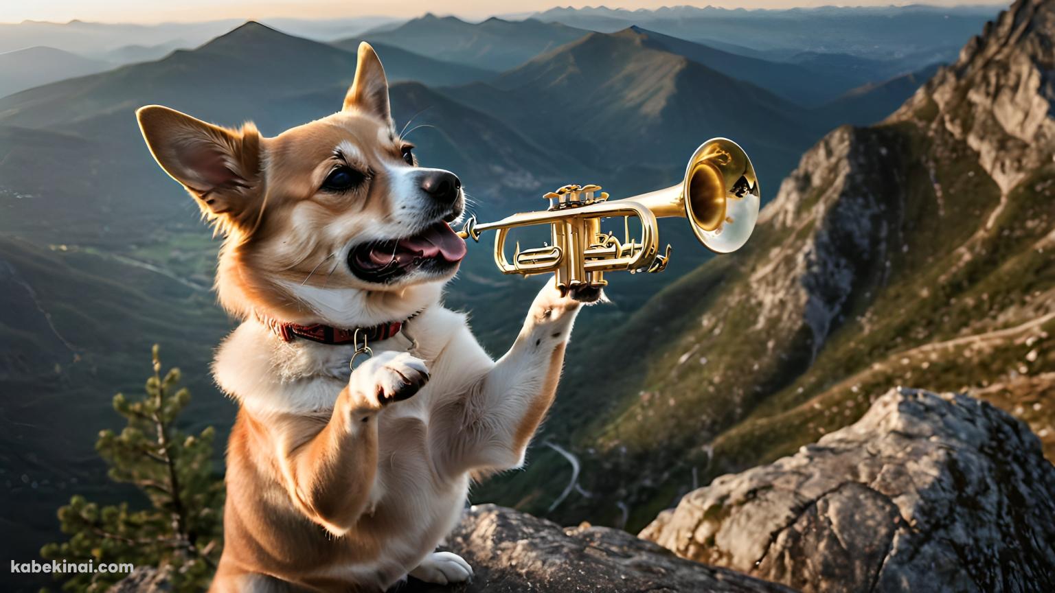 山頂で管楽器を吹く犬の壁紙(1536px x 864px) 高画質 パソコン用