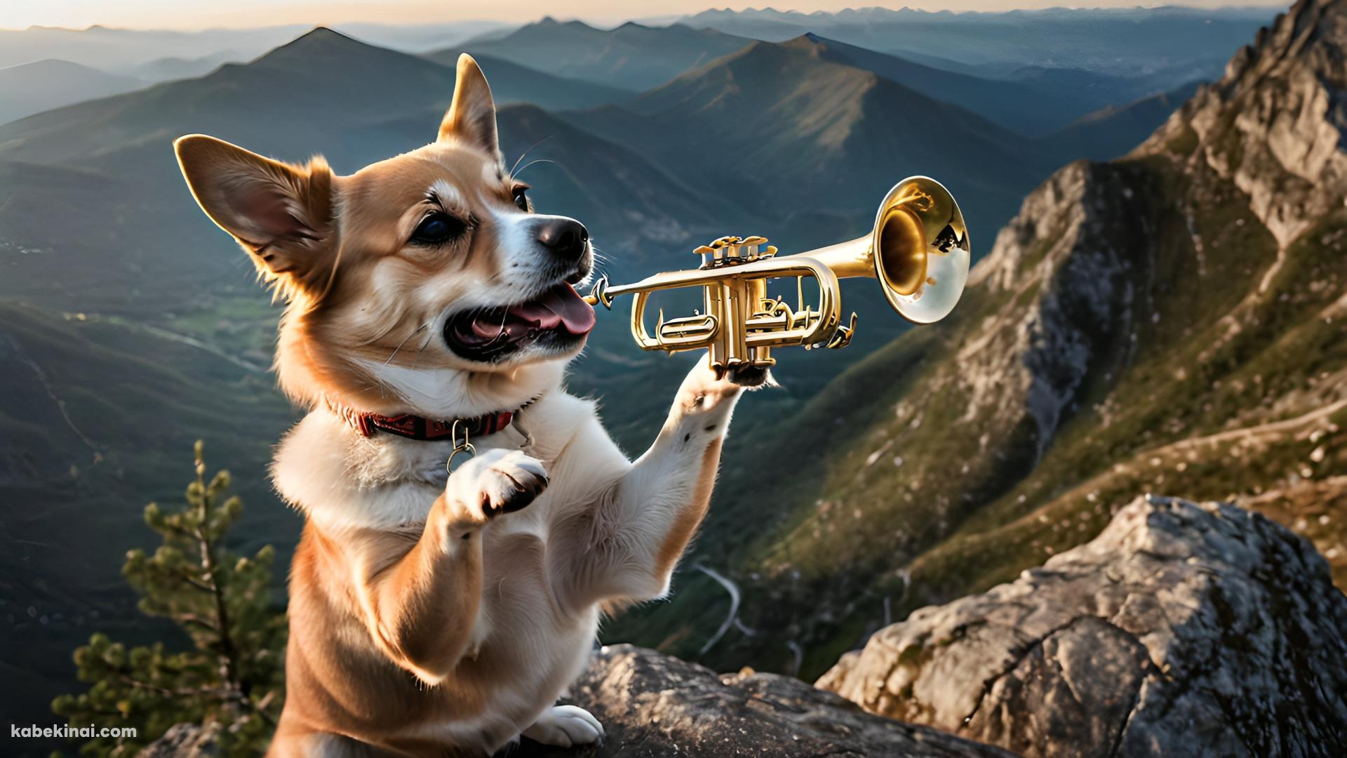 山頂で管楽器を吹く犬の壁紙(1920px x 1080px) 高画質 パソコン用