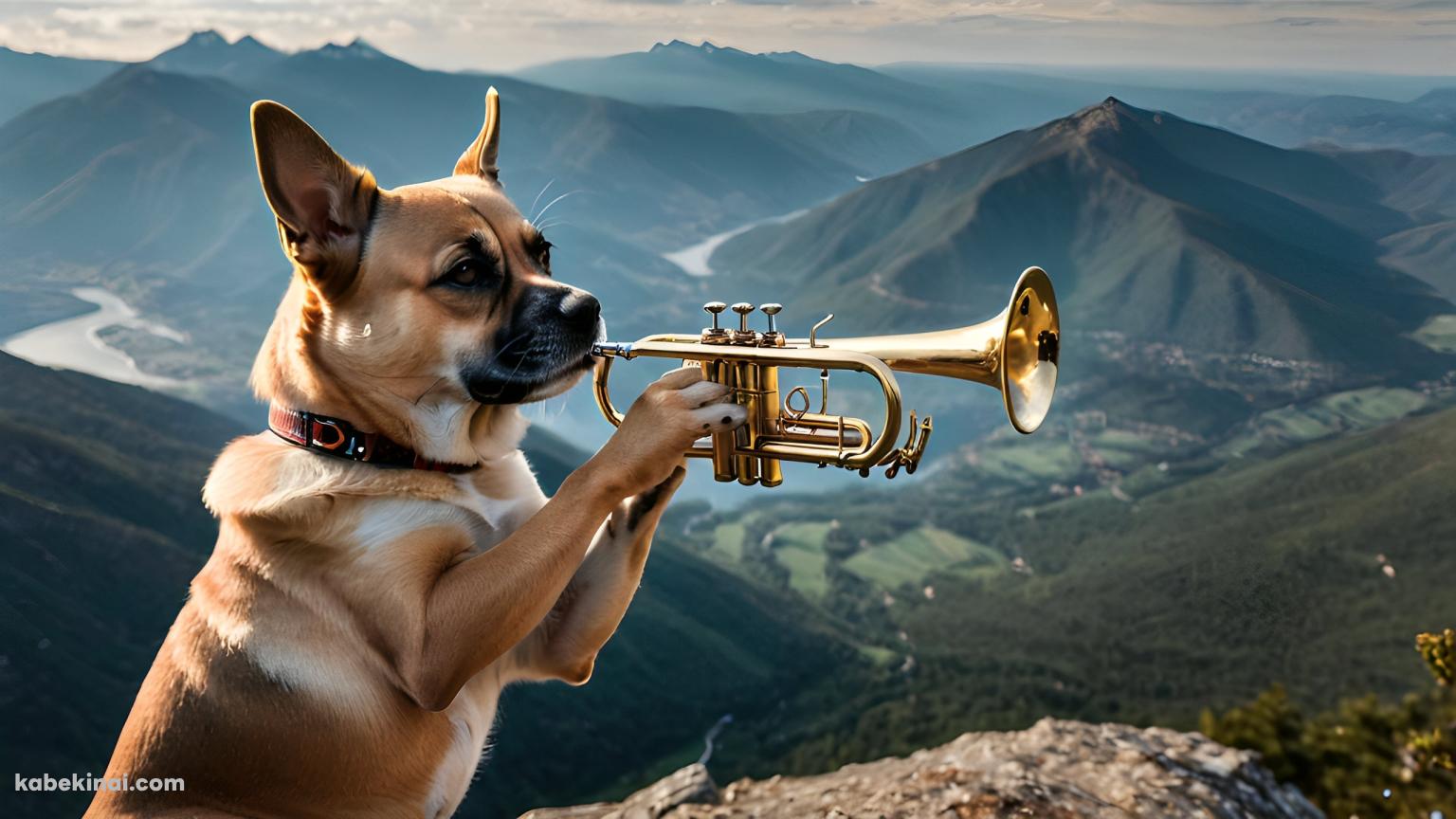 山頂でトランペットを吹く茶色い犬の壁紙(1536px x 864px) 高画質 パソコン用