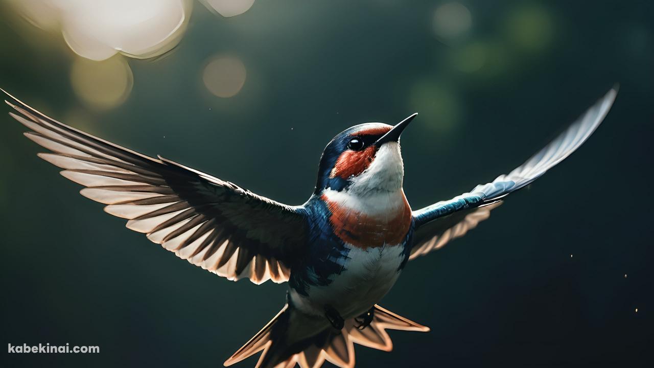 羽を広げた青と赤茶の可愛い鳥の壁紙(1280px x 720px) 高画質 パソコン用